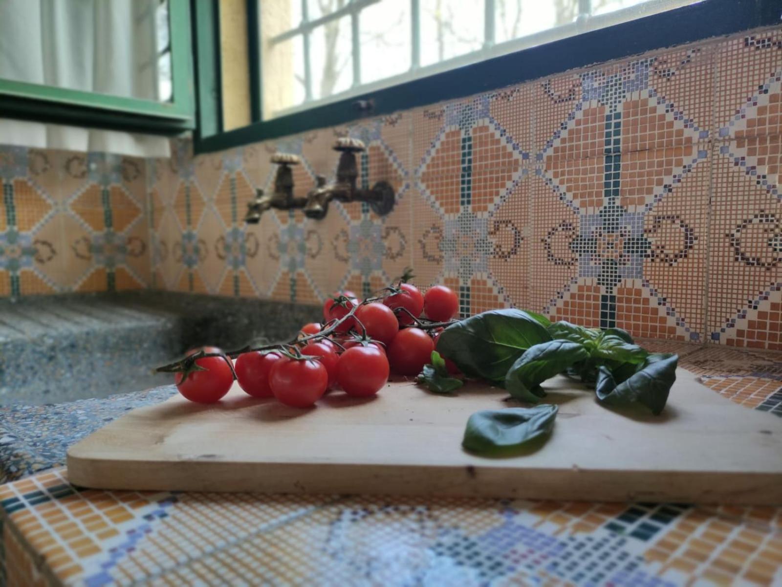 Casa Grazia Villa Gambassi Terme Dış mekan fotoğraf